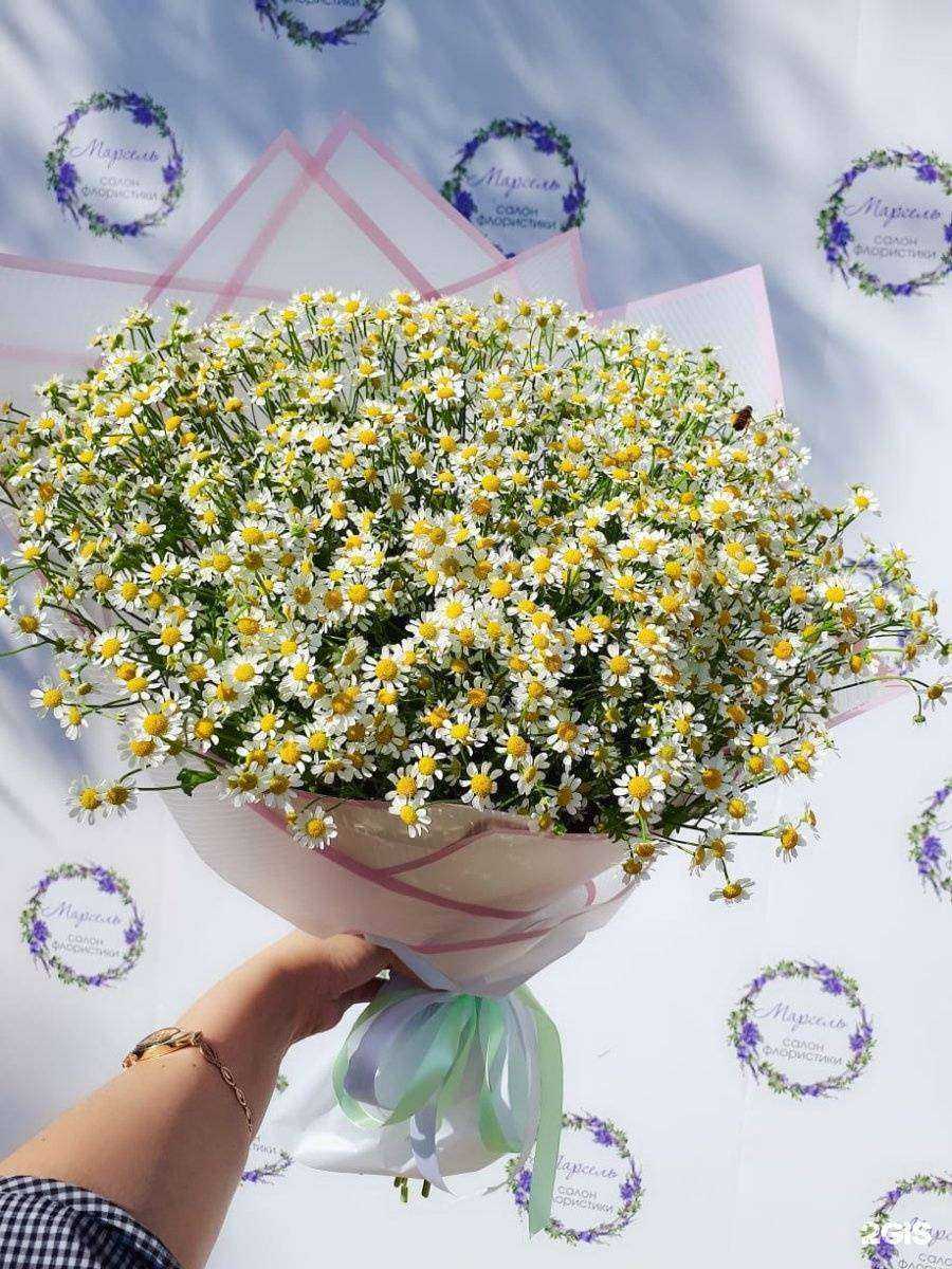 Отзывы на компанию Марсель в Якутске c фото