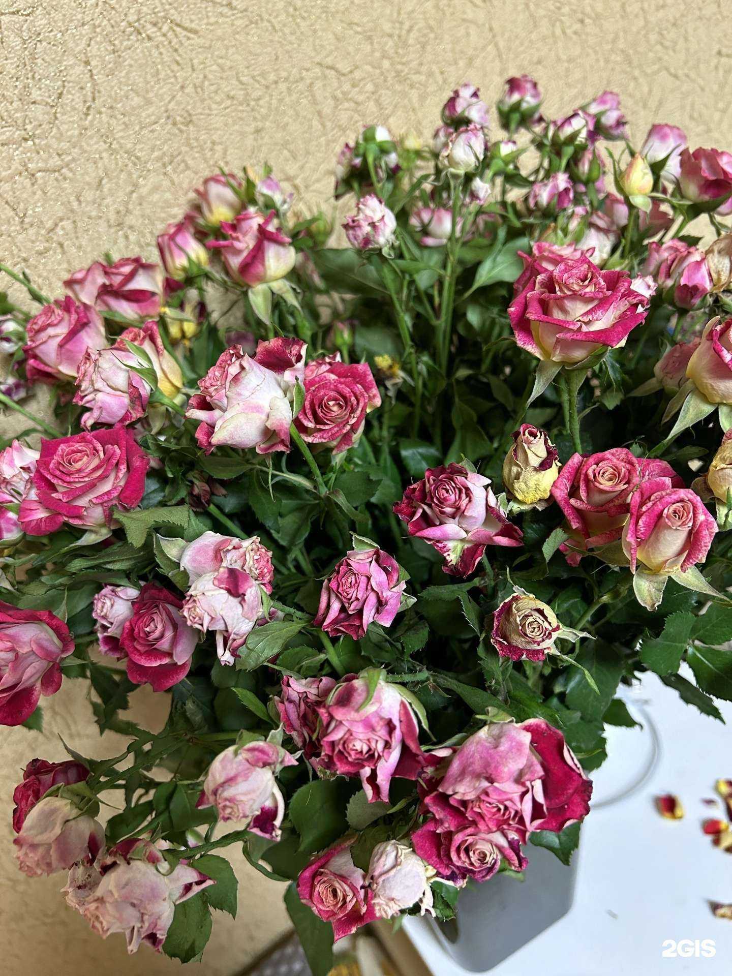 Отзывы на компанию ДонПион в Воронеже c фото