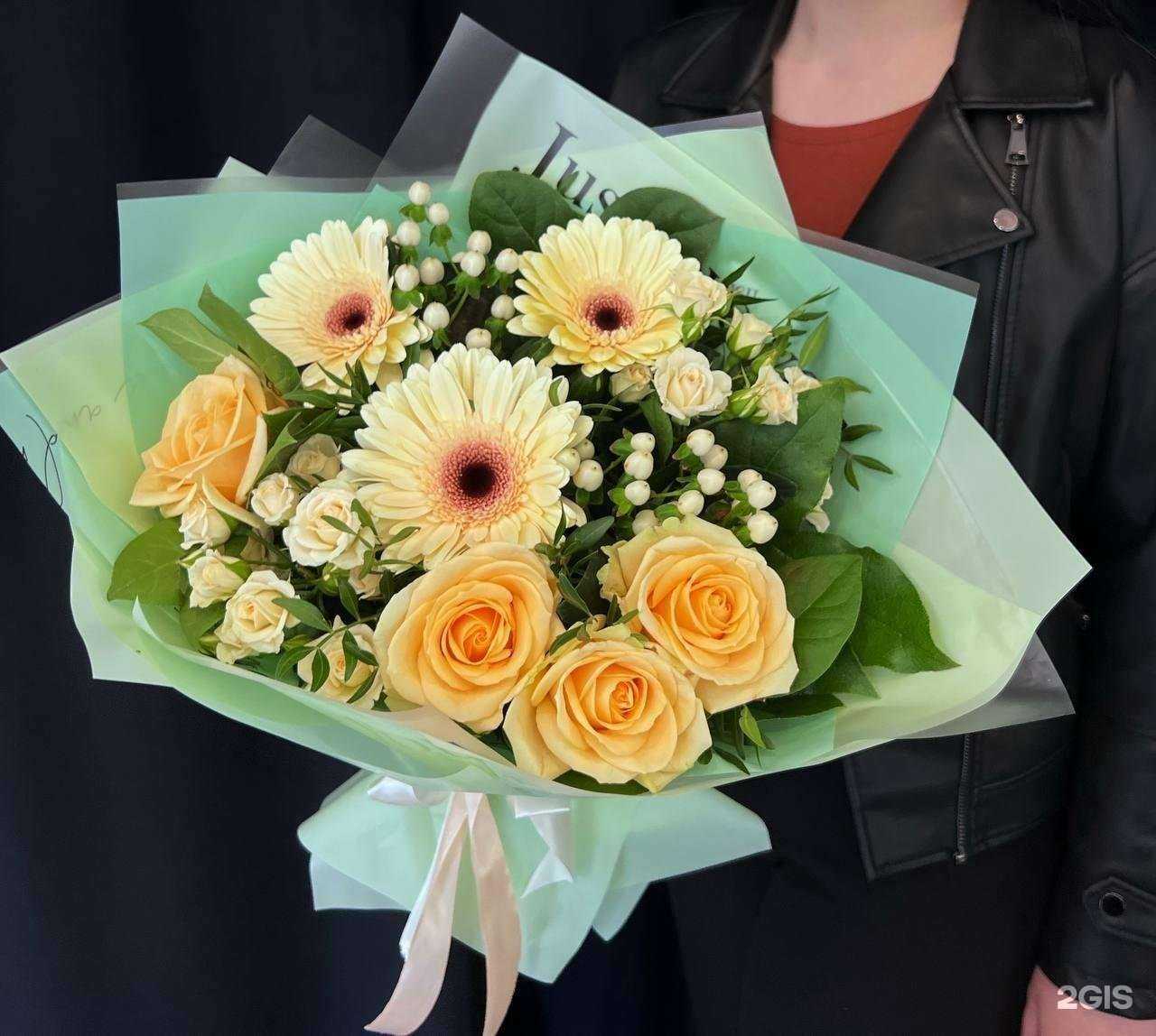 Отзывы на компанию Пальма в г. Белгород c фото