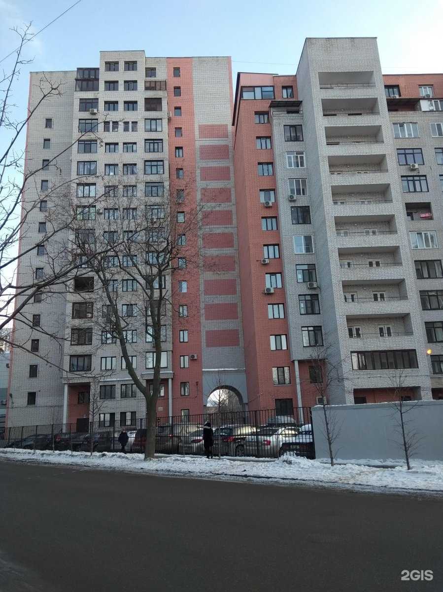 Отзывы на компанию Puppyogaclub  в Казани c фото - фотография 2 из 2