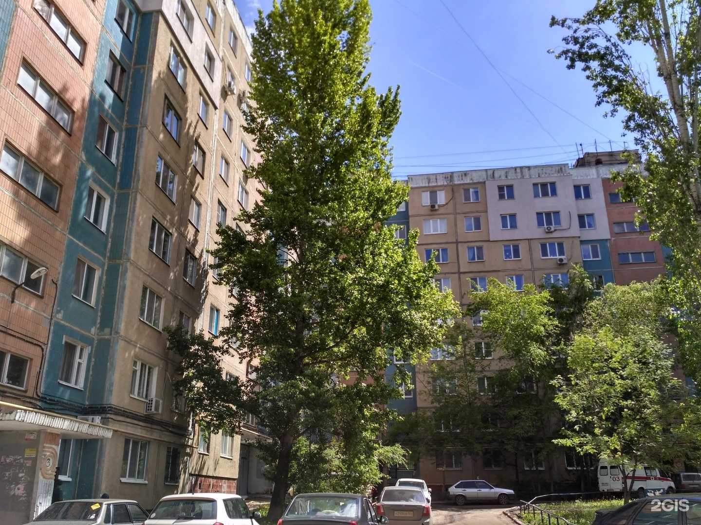 Отзывы на компанию Чудо стрижка в Саратове c фото - фотография 2 из 2