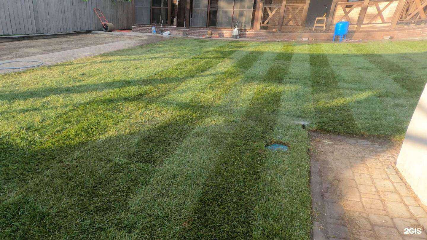 Отзывы на компанию Vipoliv в Волгограде c фото