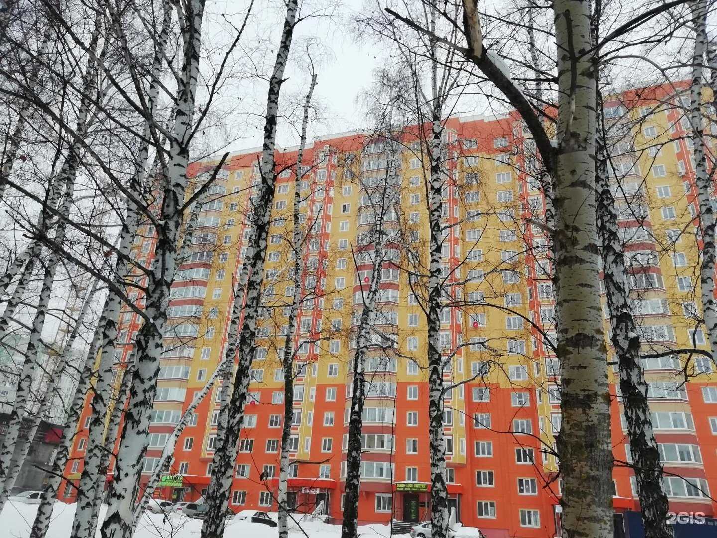 Отзывы на компанию Крошка Пудель в Курске c фото - фотография 2 из 2