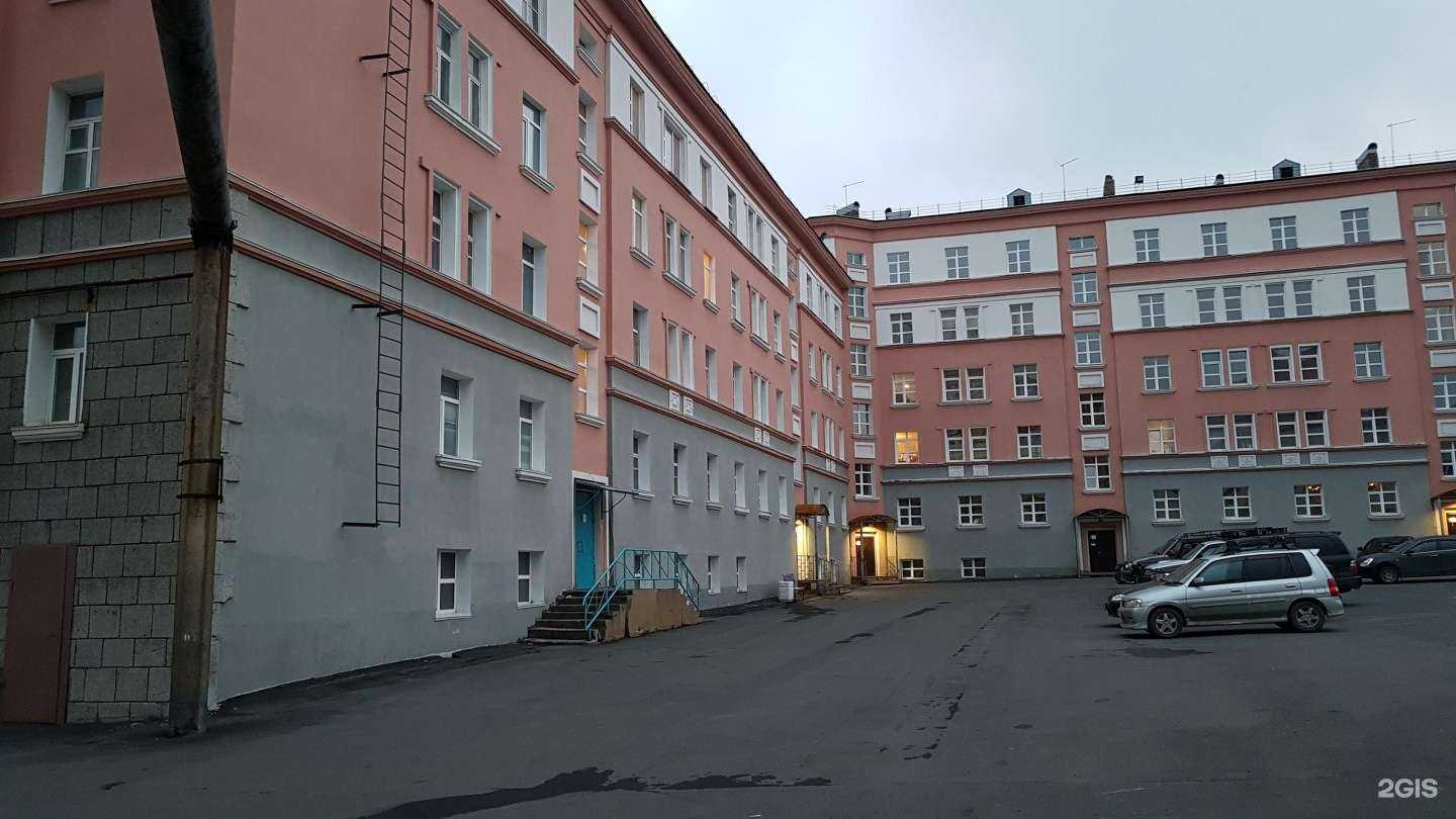 Отзывы на компанию Кот и Пёс в Норильске c фото - фотография 2 из 2