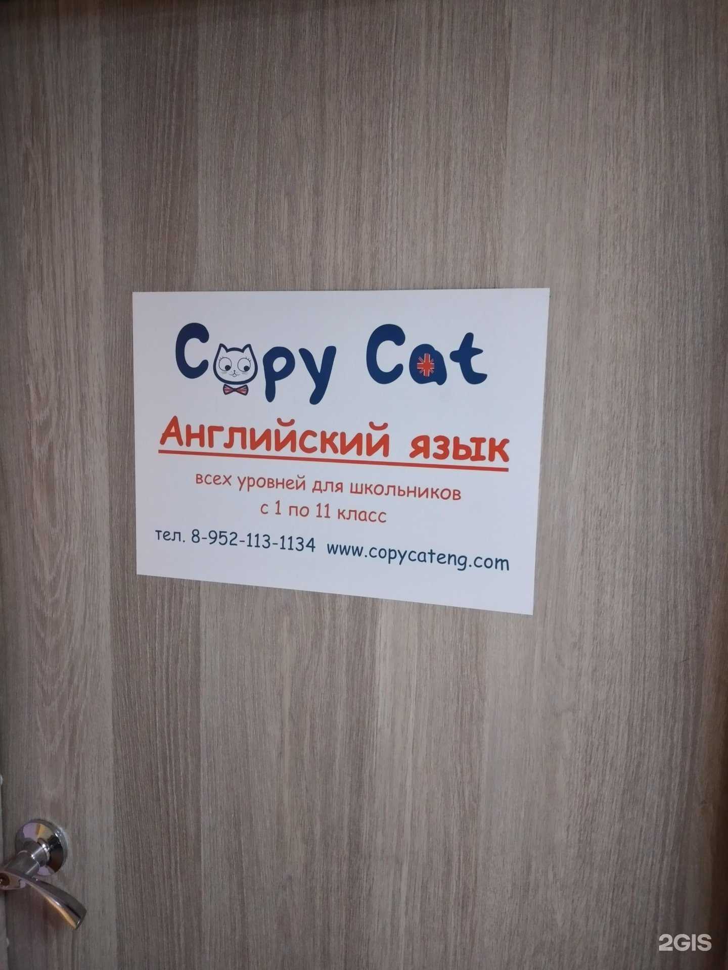 Отзывы на компанию Copy Cat в г. Калининград c фото