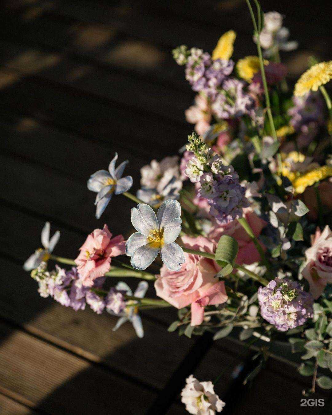 Отзывы на компанию 92% cacao в г. Екатеринбург c фото