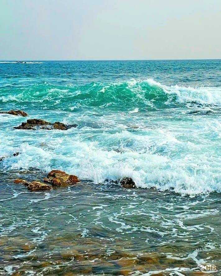 Отзывы на компанию Xodoki.Vl в г. Владивосток c фото