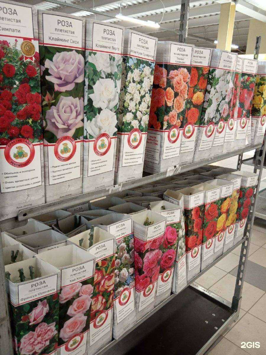 Отзывы на компанию Зеленая страна в Самаре c фото