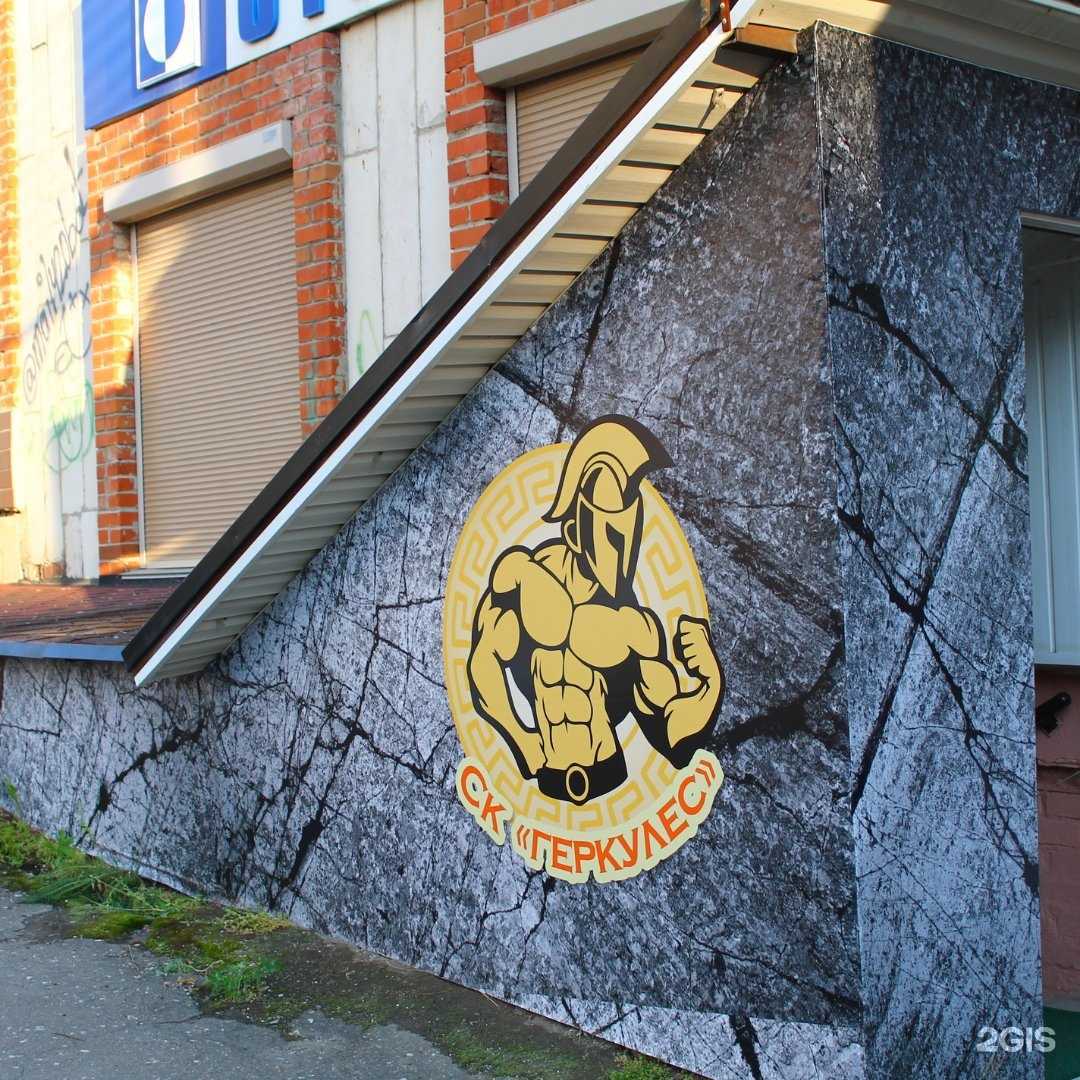 Отзывы на компанию Геркулес в Миассе c фото