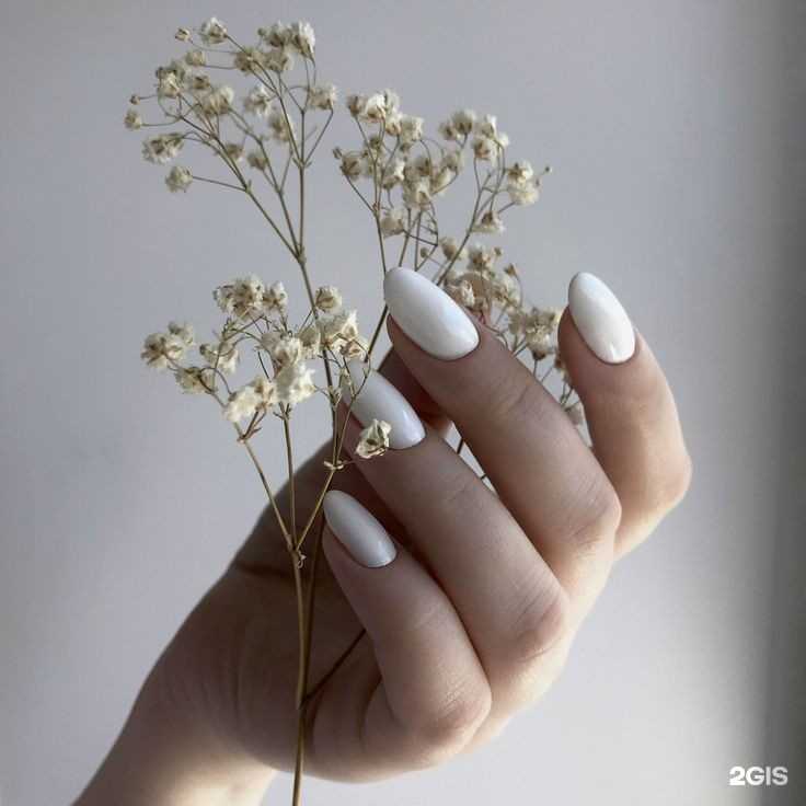 Отзывы на компанию Эдэль в г. Петропавловск-Камчатский c фото