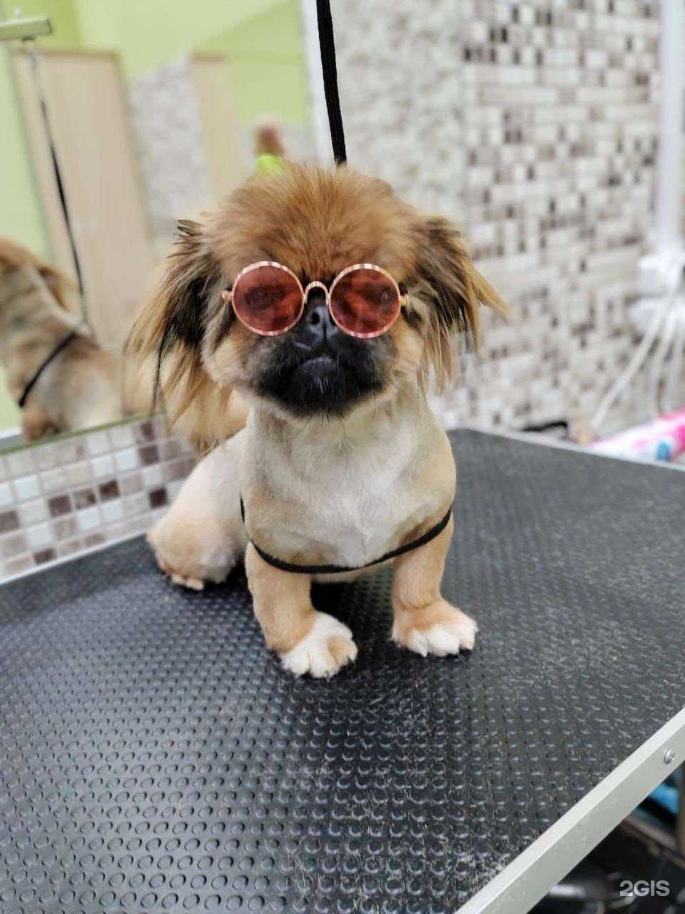 Отзывы на компанию Ноев ковчег в Новосибирске c фото