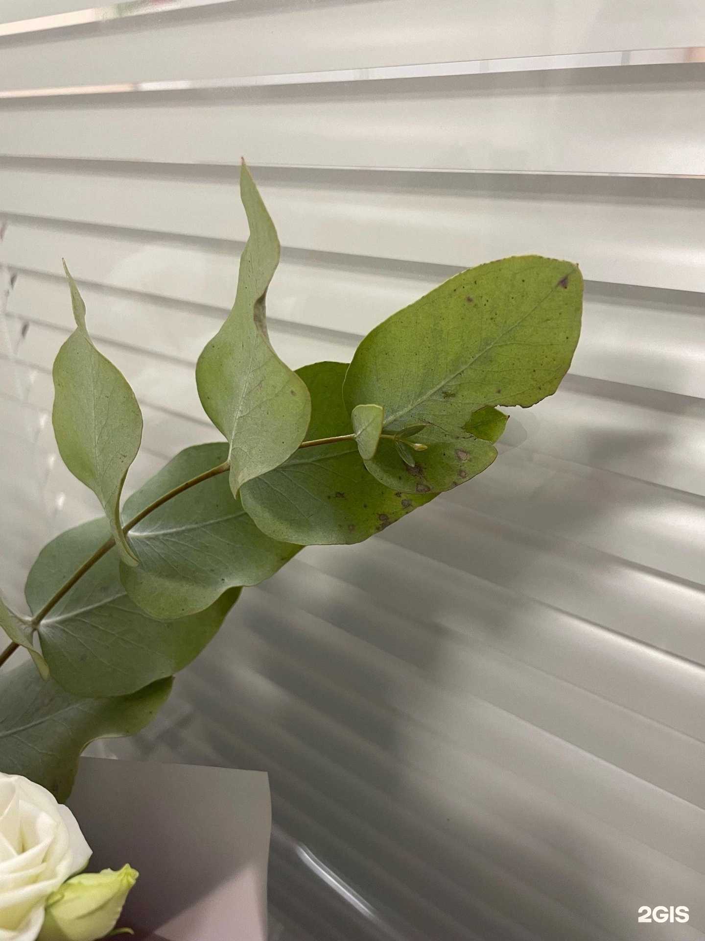 Отзывы на компанию Komilfo в Мурманске c фото