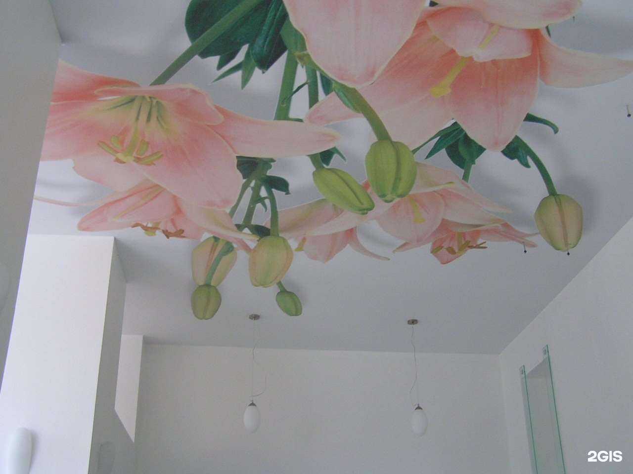 Отзывы на компанию Новатор в г. Саратов c фото