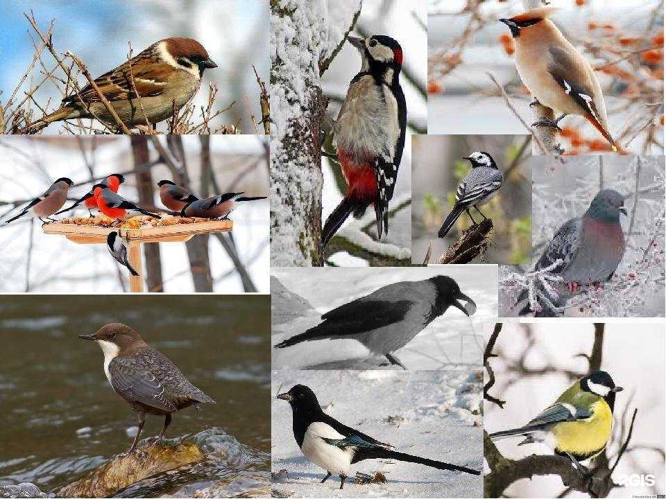 Отзывы на компанию Детский сад №29 в г. Липецк c фото