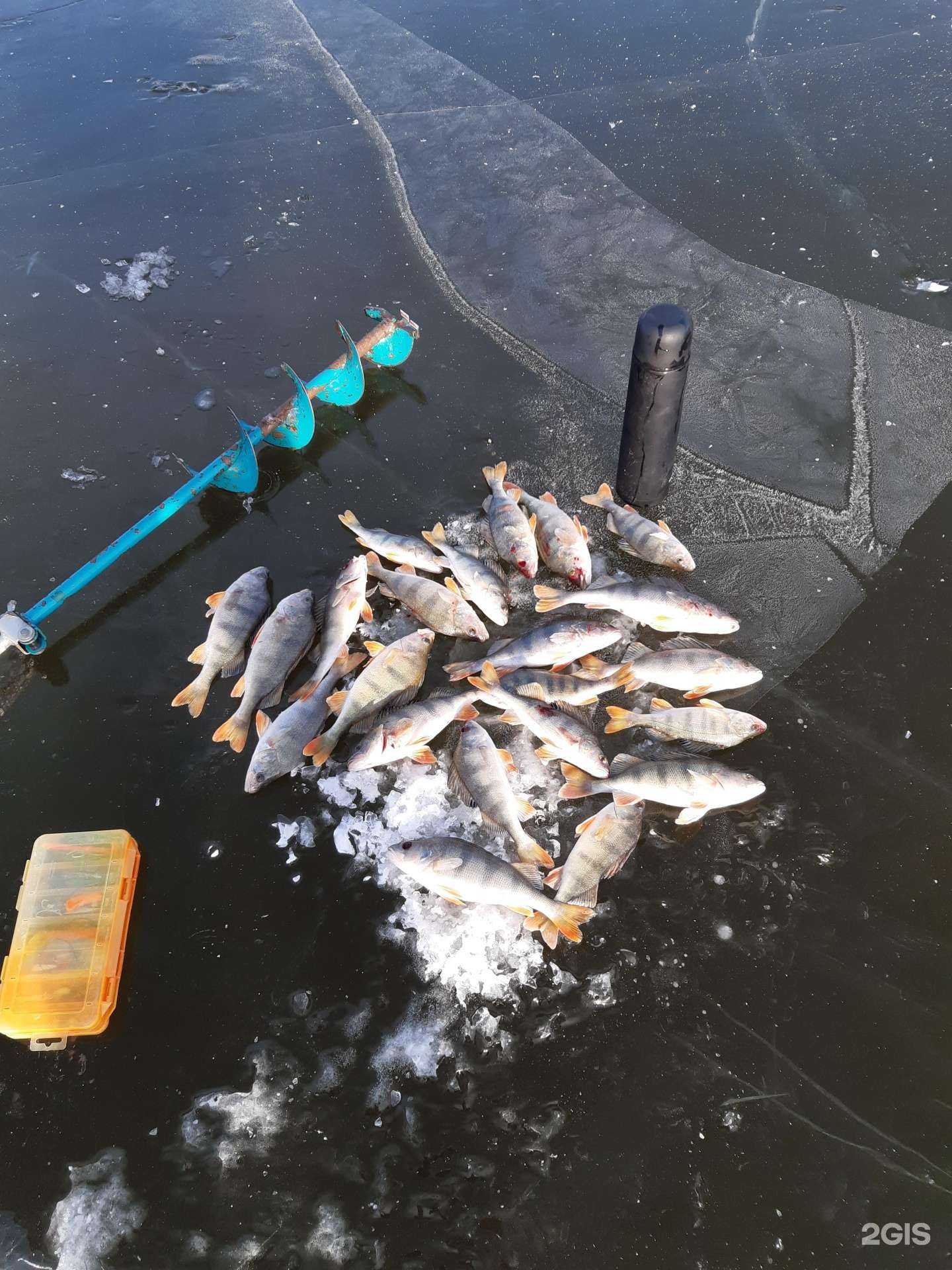 Отзывы на компанию Трофейный улов в Астрахани c фото