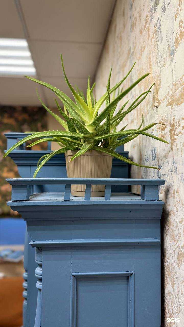 Отзывы на компанию Такое место в г. Чита c фото