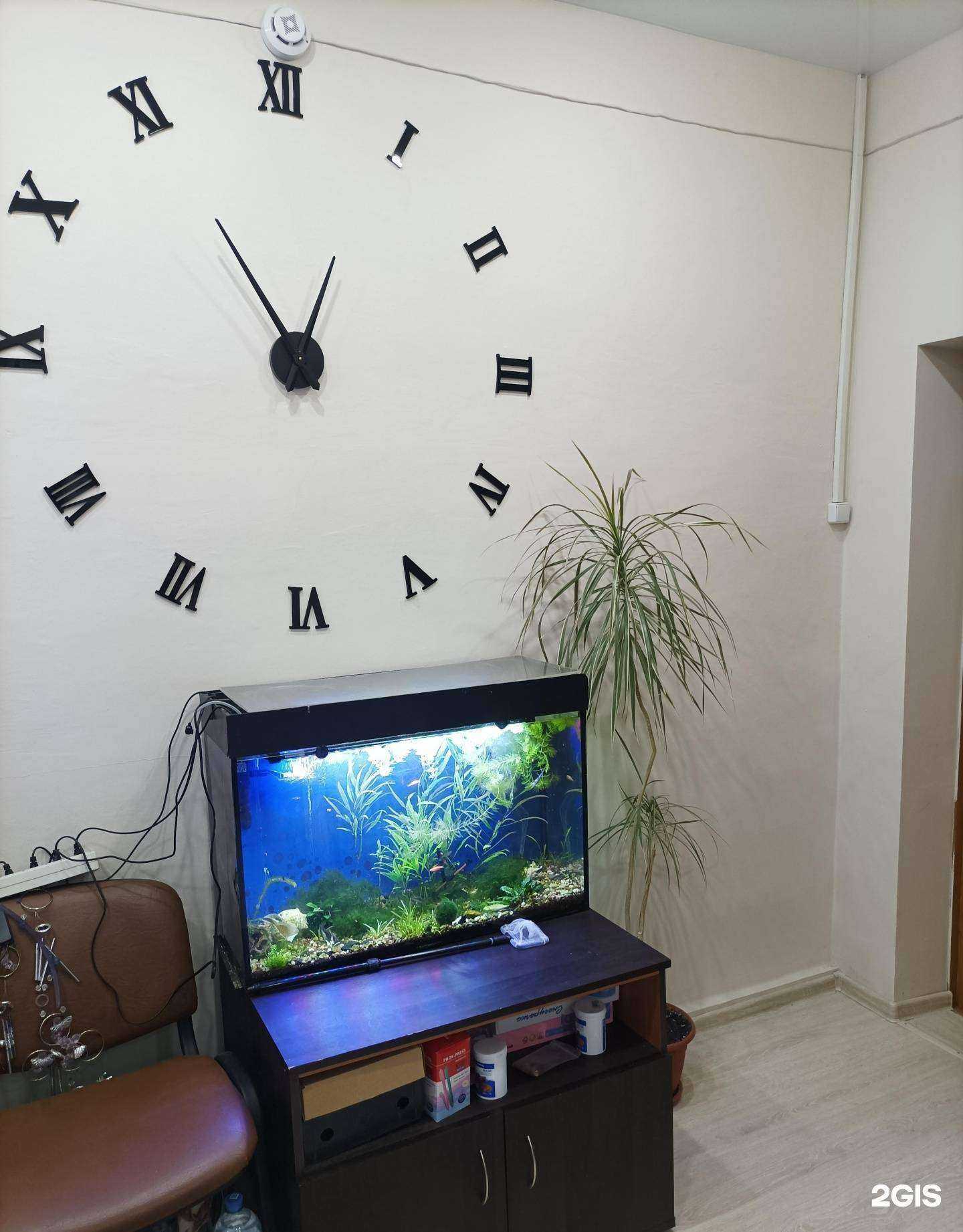 Отзывы на компанию Дискавери в г. Ярославль c фото