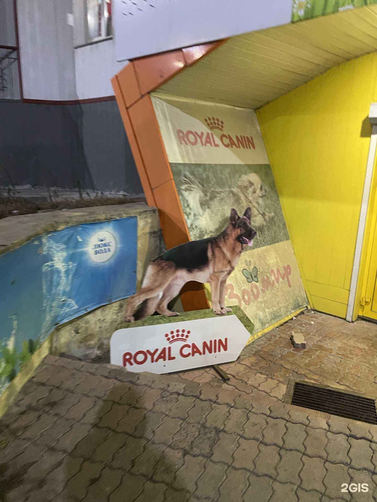 Отзывы на компанию Зоомир в Сатке c фото