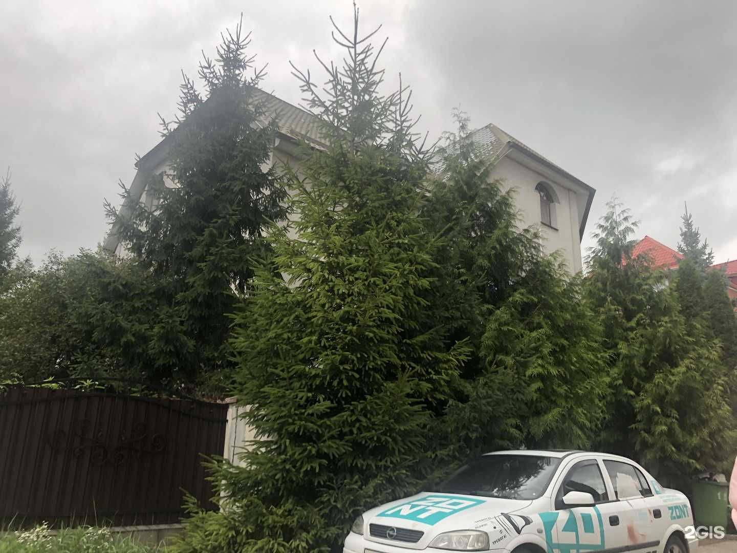 Отзывы на компанию Лайк в Калининграде c фото - фотография 2 из 2