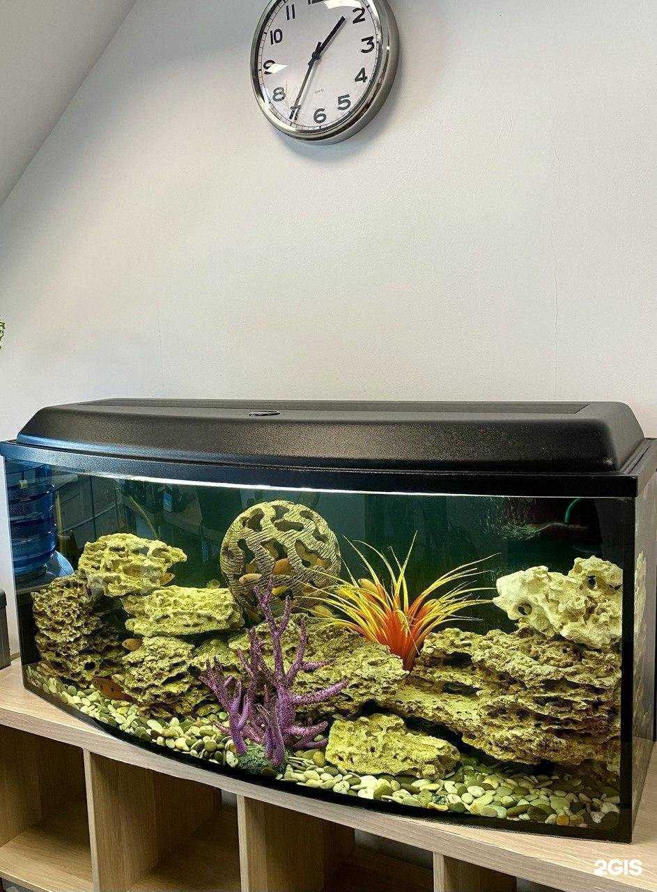 Отзывы на компанию Авр-тур в Нижнем Новгороде c фото