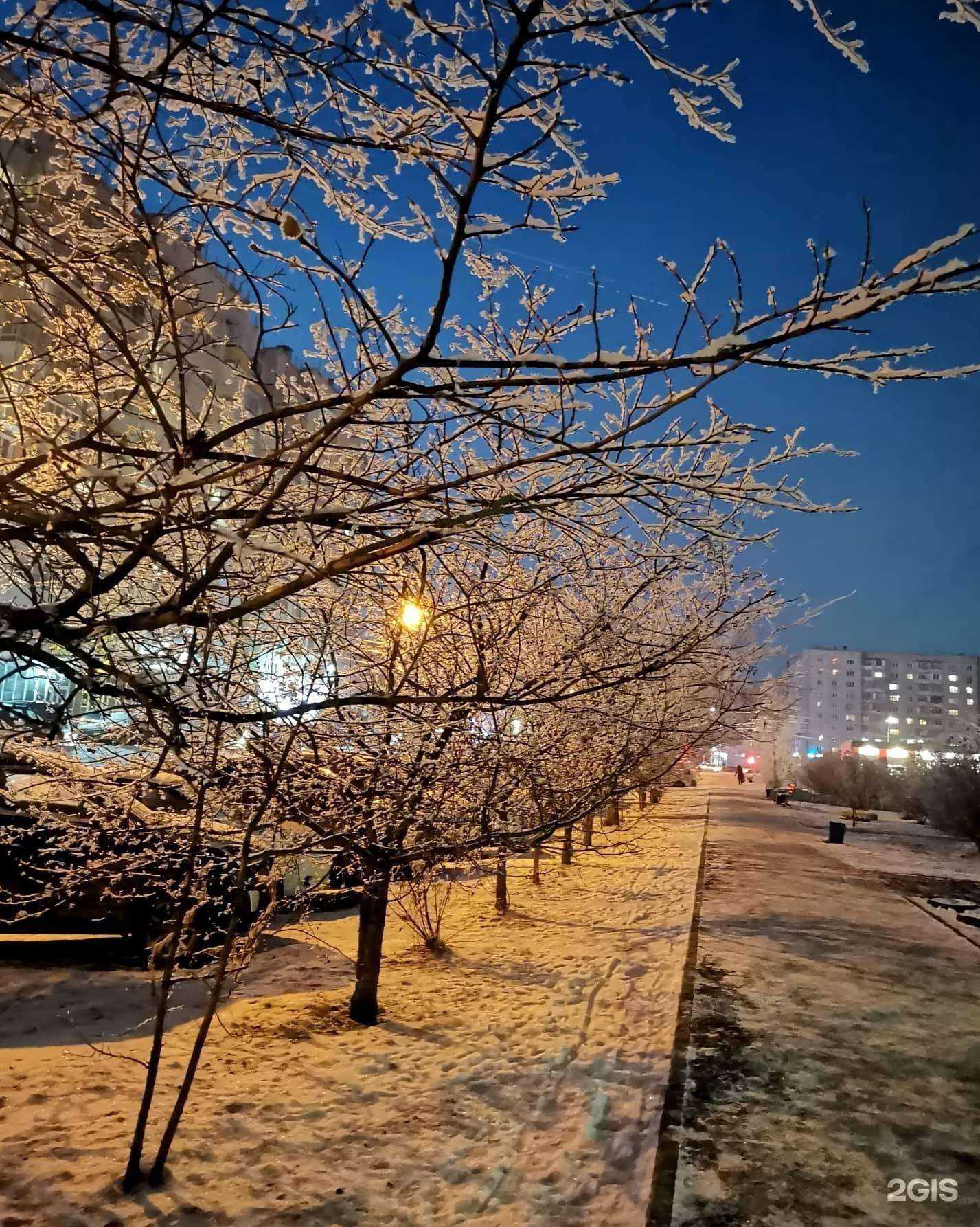 Отзывы на компанию Здравсити в Красноярске c фото - фотография 2 из 2