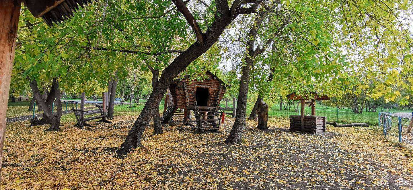 Отзывы на компанию Детский эколого-биологический центр в Омске c фото