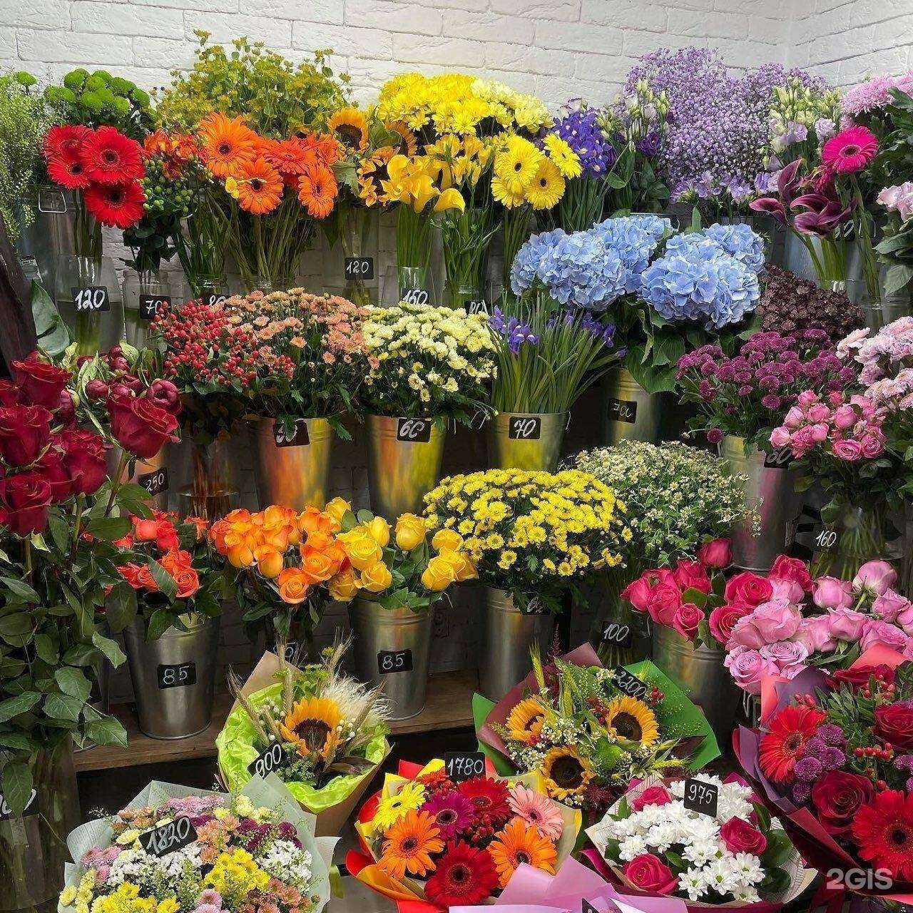 Отзывы на компанию Малина в Екатеринбурге c фото