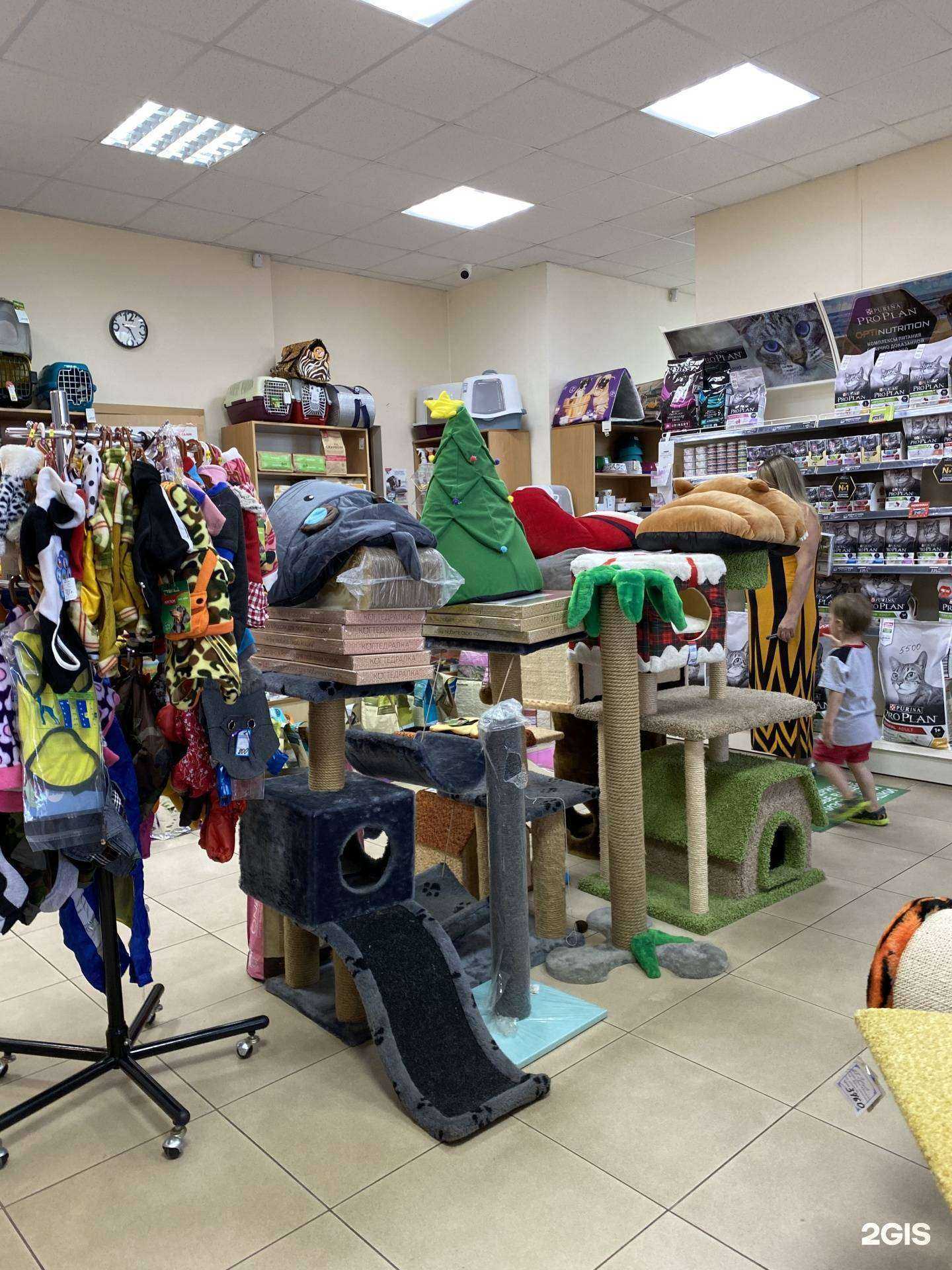 Отзывы на компанию Зоомаркет в г. Краснодар c фото