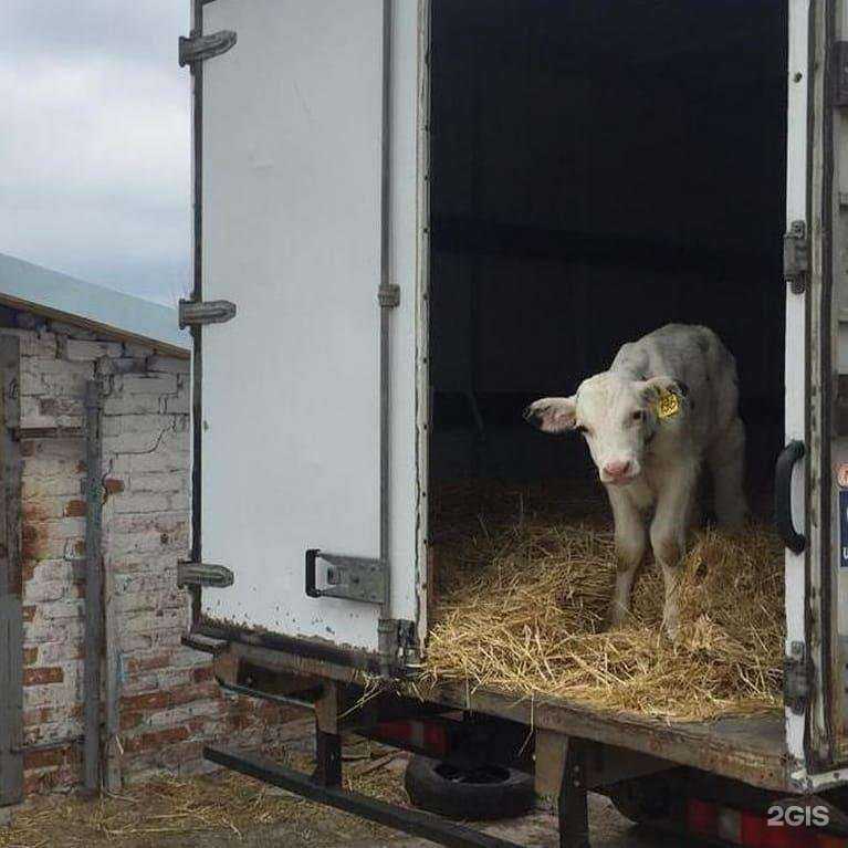 Отзывы на компанию L.T.S. Express в Аксае c фото