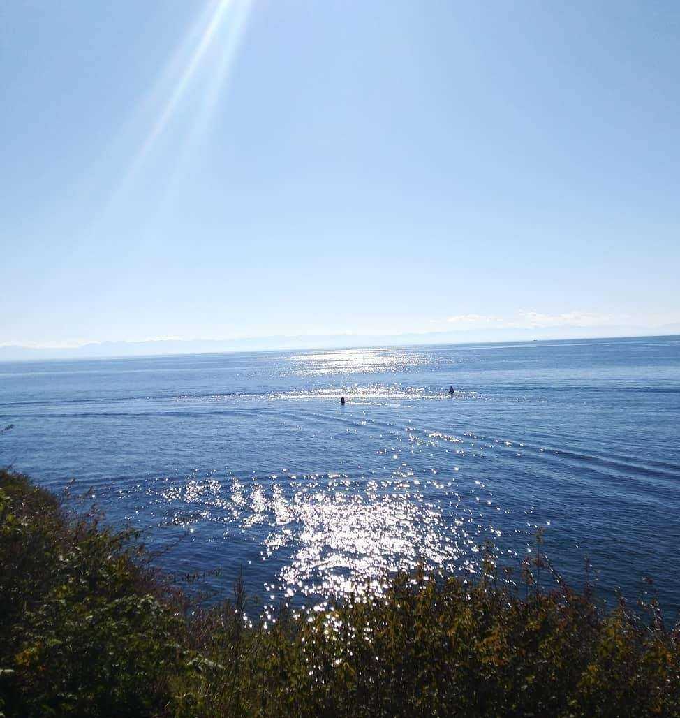 Отзывы на компанию 360 градусов в Иркутске c фото