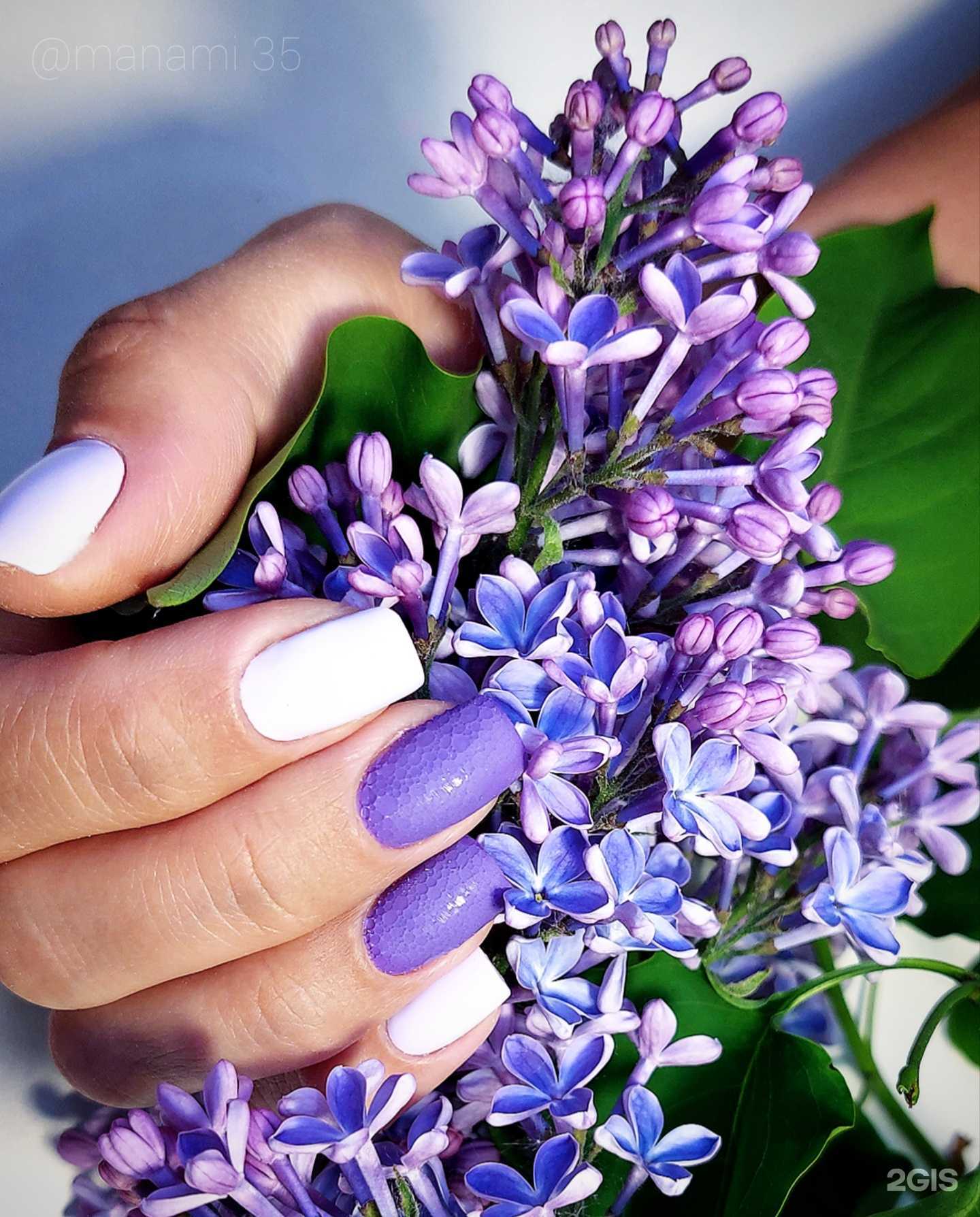 Отзывы на компанию Манами в Вологде c фото