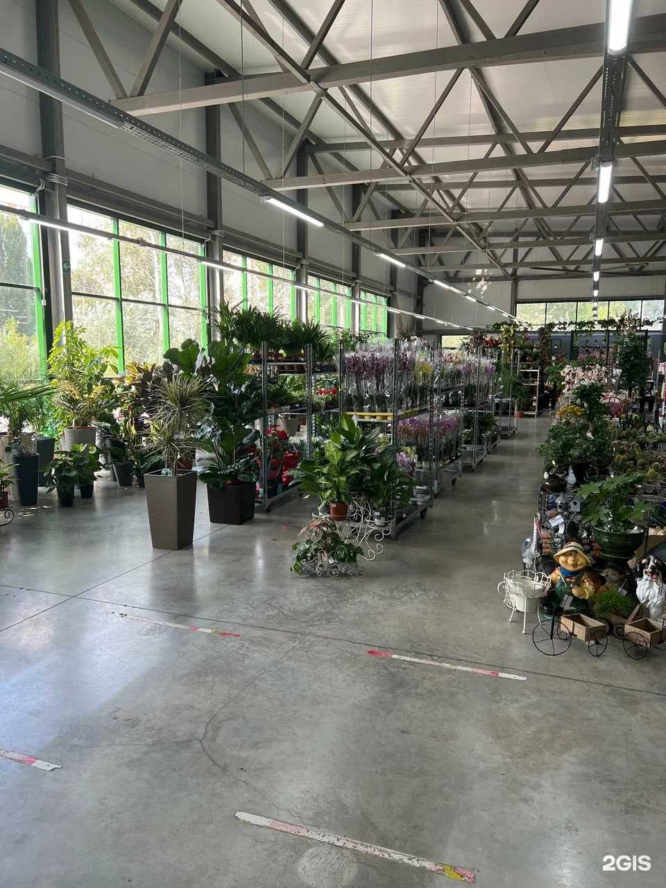 Отзывы на компанию Dolce Vita в Липецке c фото