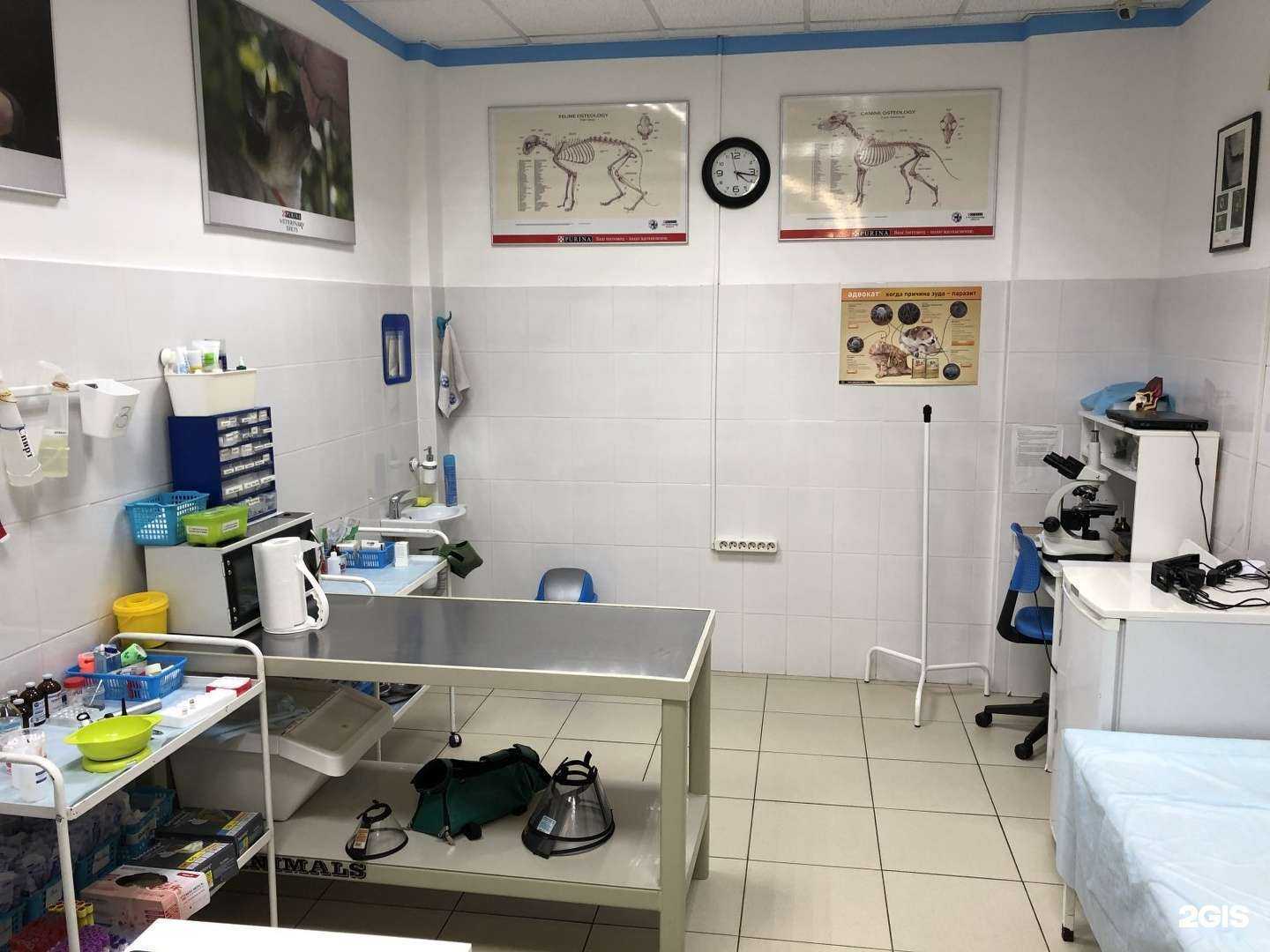 Отзывы на компанию 101 далматинец в г. Химки c фото