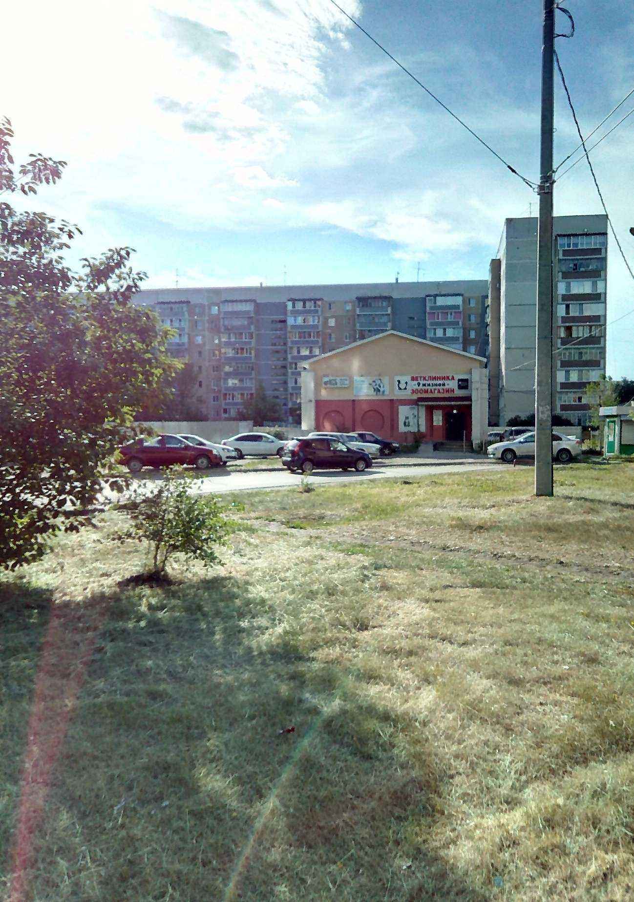 Отзывы на компанию 9 жизней в Ульяновске c фото - фотография 2 из 2