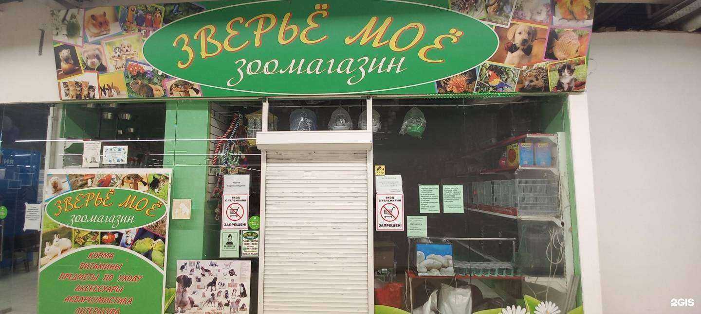 Отзывы на компанию Зверьё моё в Невинномысске c фото