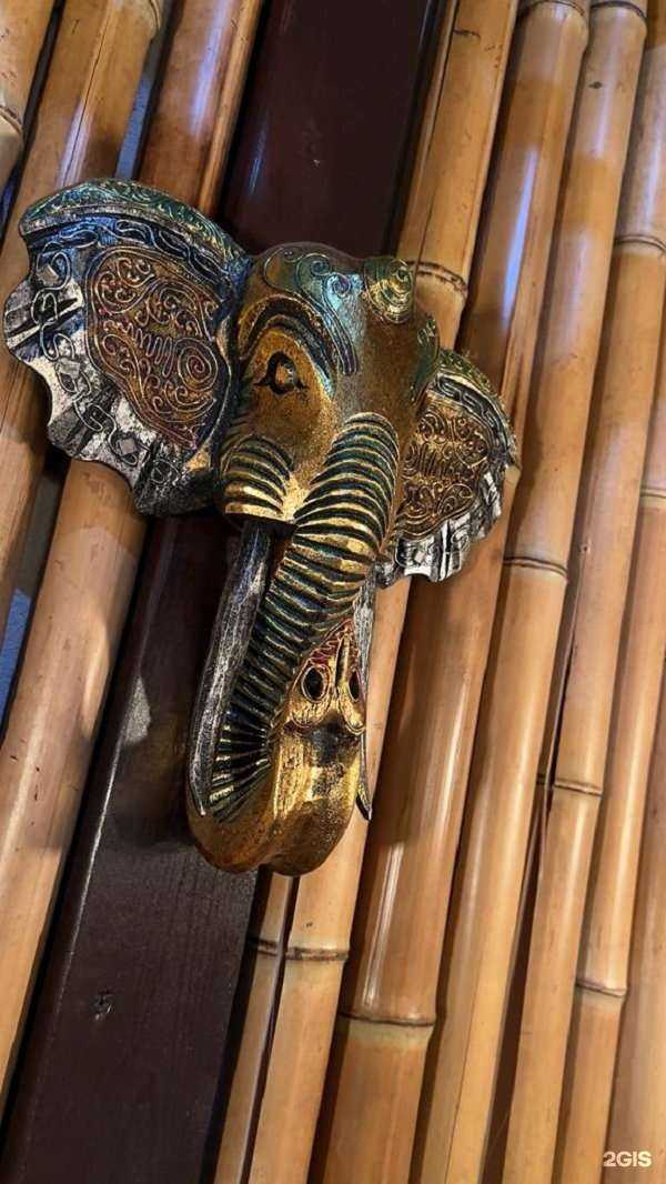 Отзывы на компанию Шамбала в Сочи c фото