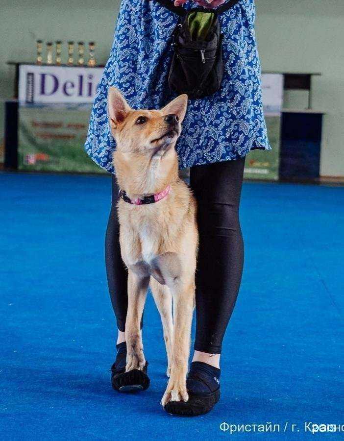 Отзывы на компанию Mary Hvostins в г. Киров c фото