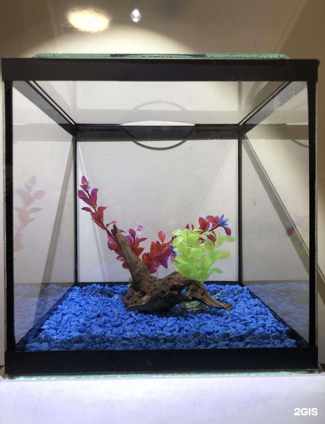 Отзывы на компанию Белый кит в г. Иркутск c фото