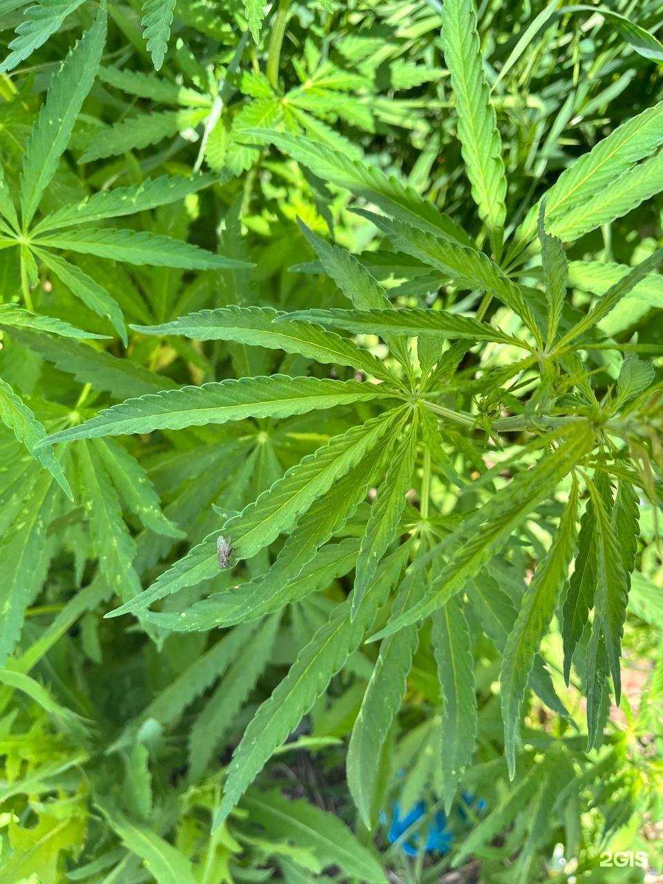 Отзывы на компанию Автомойка в Омске c фото - фотография 2 из 2