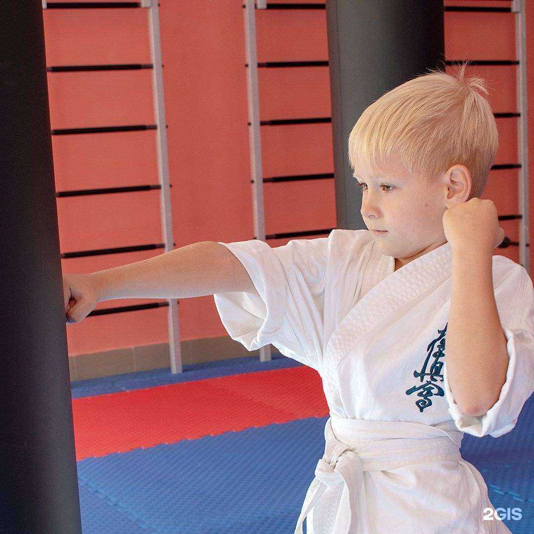 Отзывы на компанию Кайдзен каратэ доджо в г. Саранск c фото