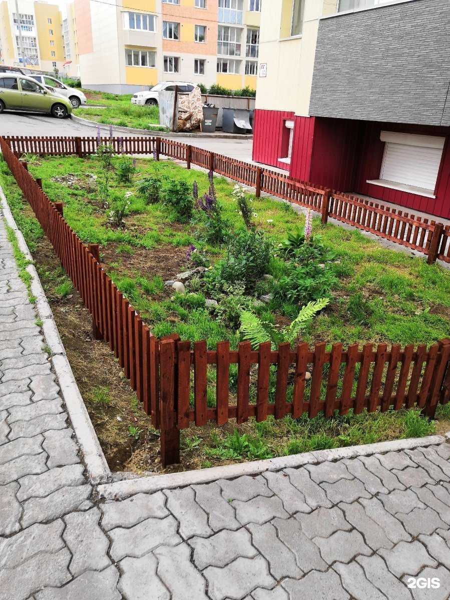 Отзывы на компанию Bravo, Kids! в Петропавловске-Камчатском c фото - фотография 2 из 2