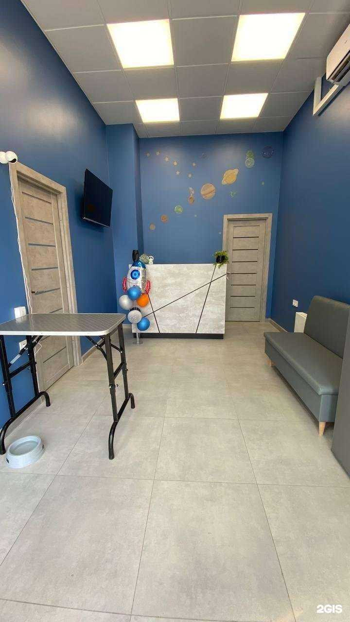 Отзывы на компанию Космопёс в г. Люберцы c фото