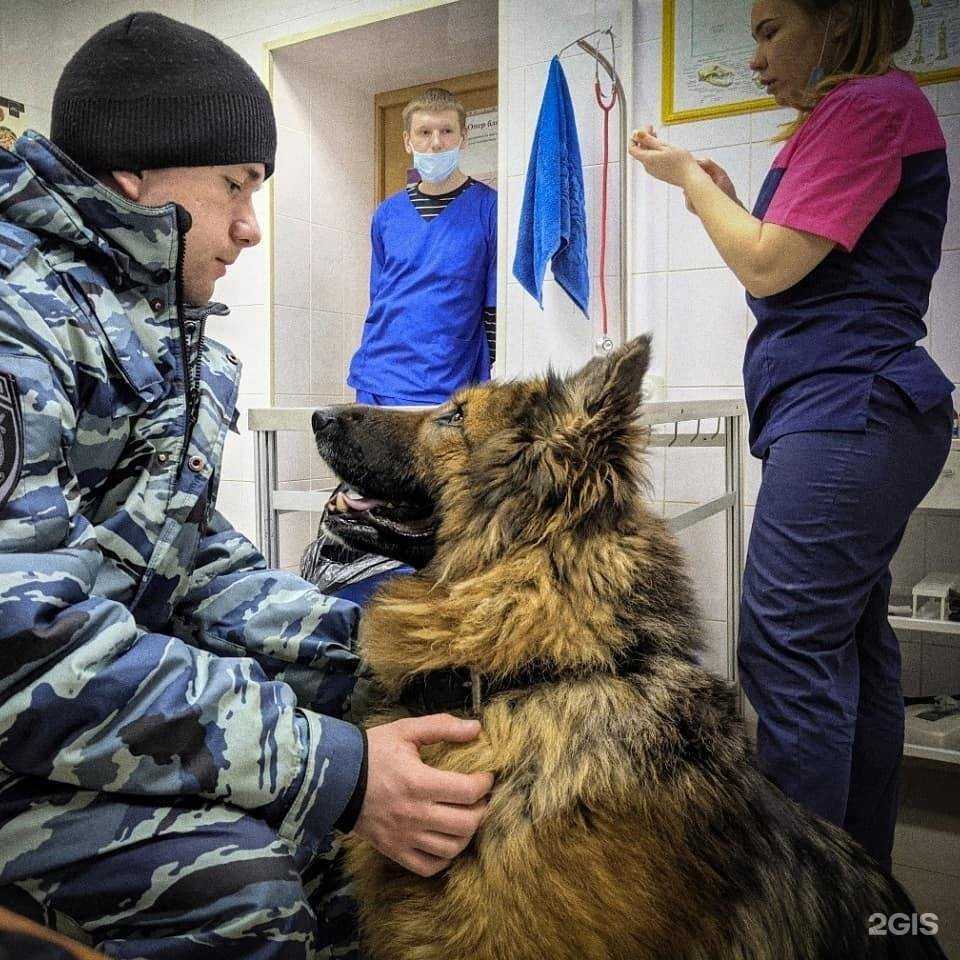 Отзывы на компанию Ветеринарная клиника в Орске c фото