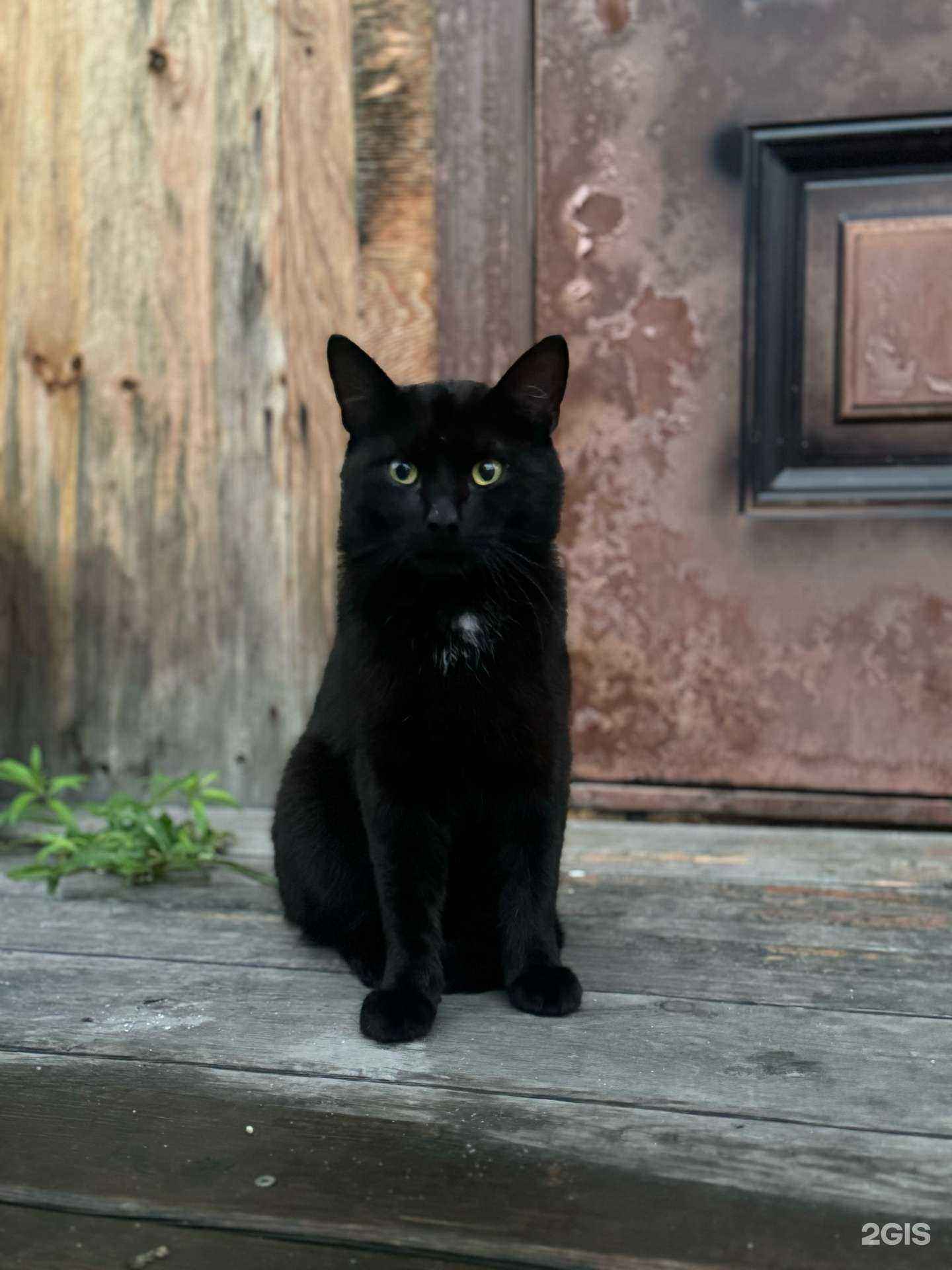 Отзывы на компанию Хостел в Слюдянке c фото