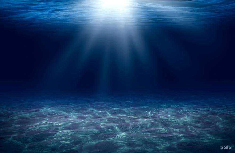 Отзывы на компанию MySwimSmile в Ульяновске c фото