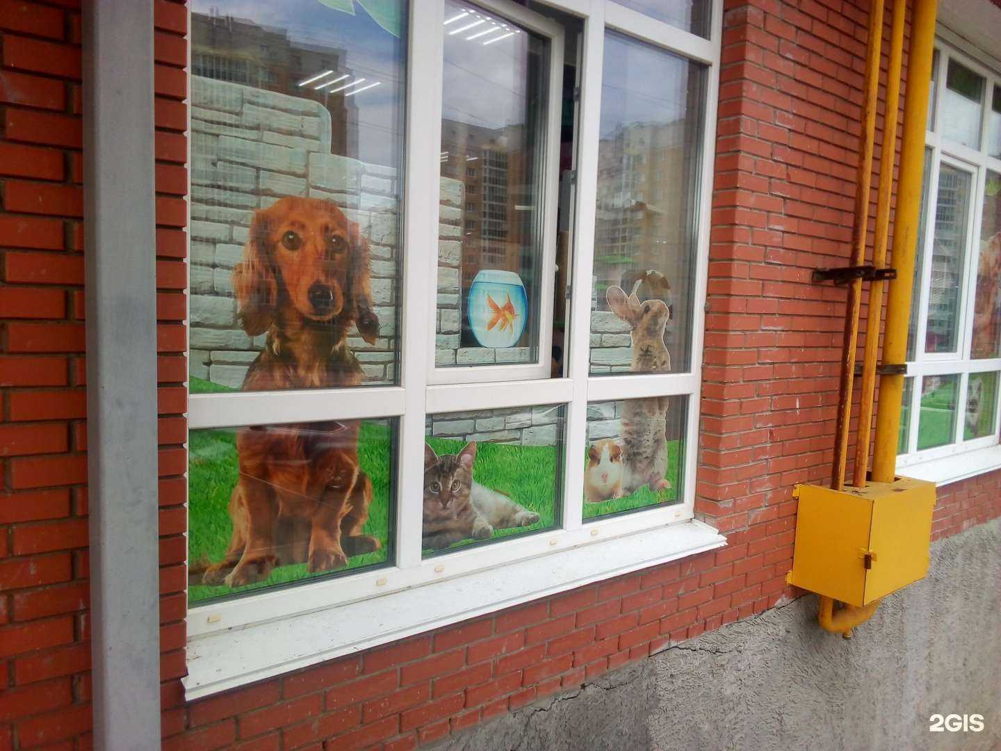 Отзывы на компанию Зоосервис в Чебоксарах c фото