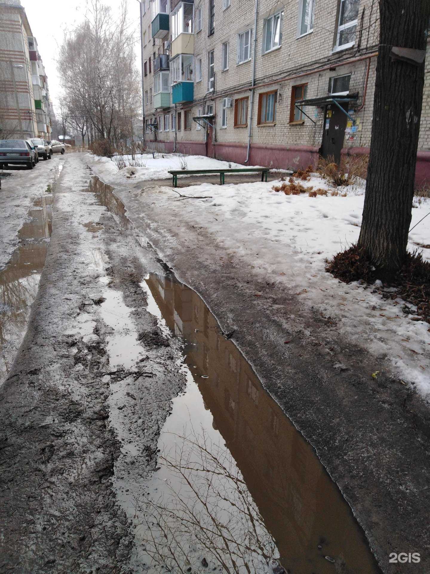 Отзывы на компанию Живая вода  в Тамбове c фото - фотография 2 из 2