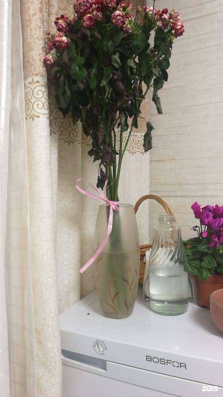 Отзывы на компанию Орхидея в г. Красноярск c фото