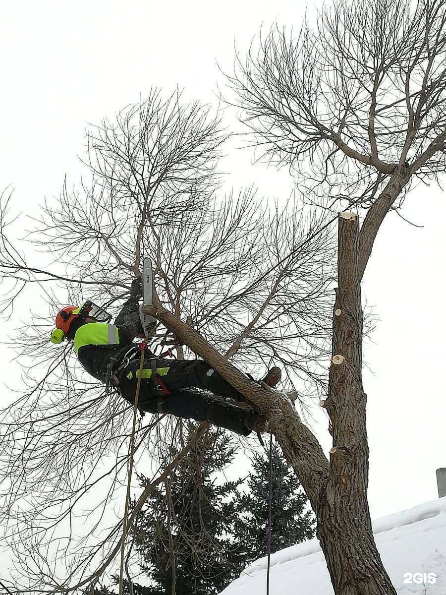 Отзывы на компанию Green Service в Екатеринбурге c фото