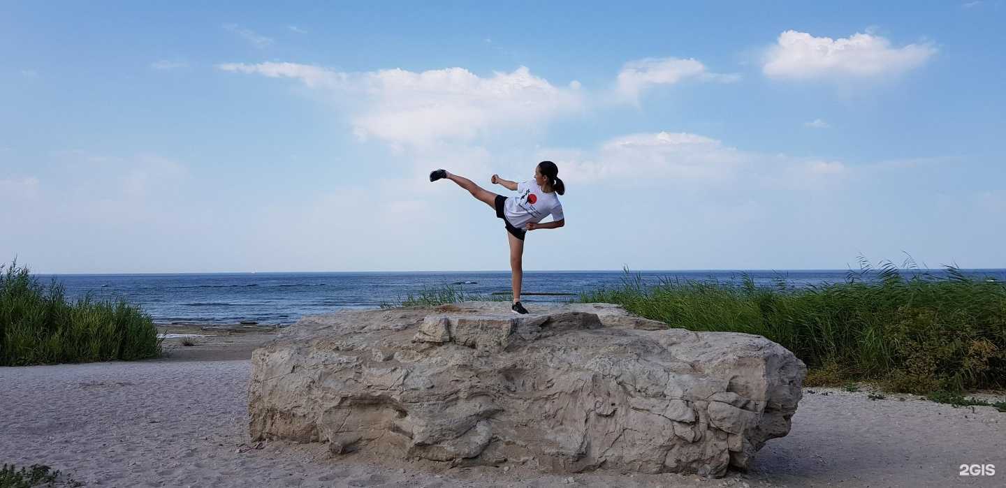 Отзывы на компанию Тигры Сибири в г. Нижневартовск c фото